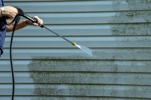 Best Driveway Pressure Washing  in University Gardens, NY